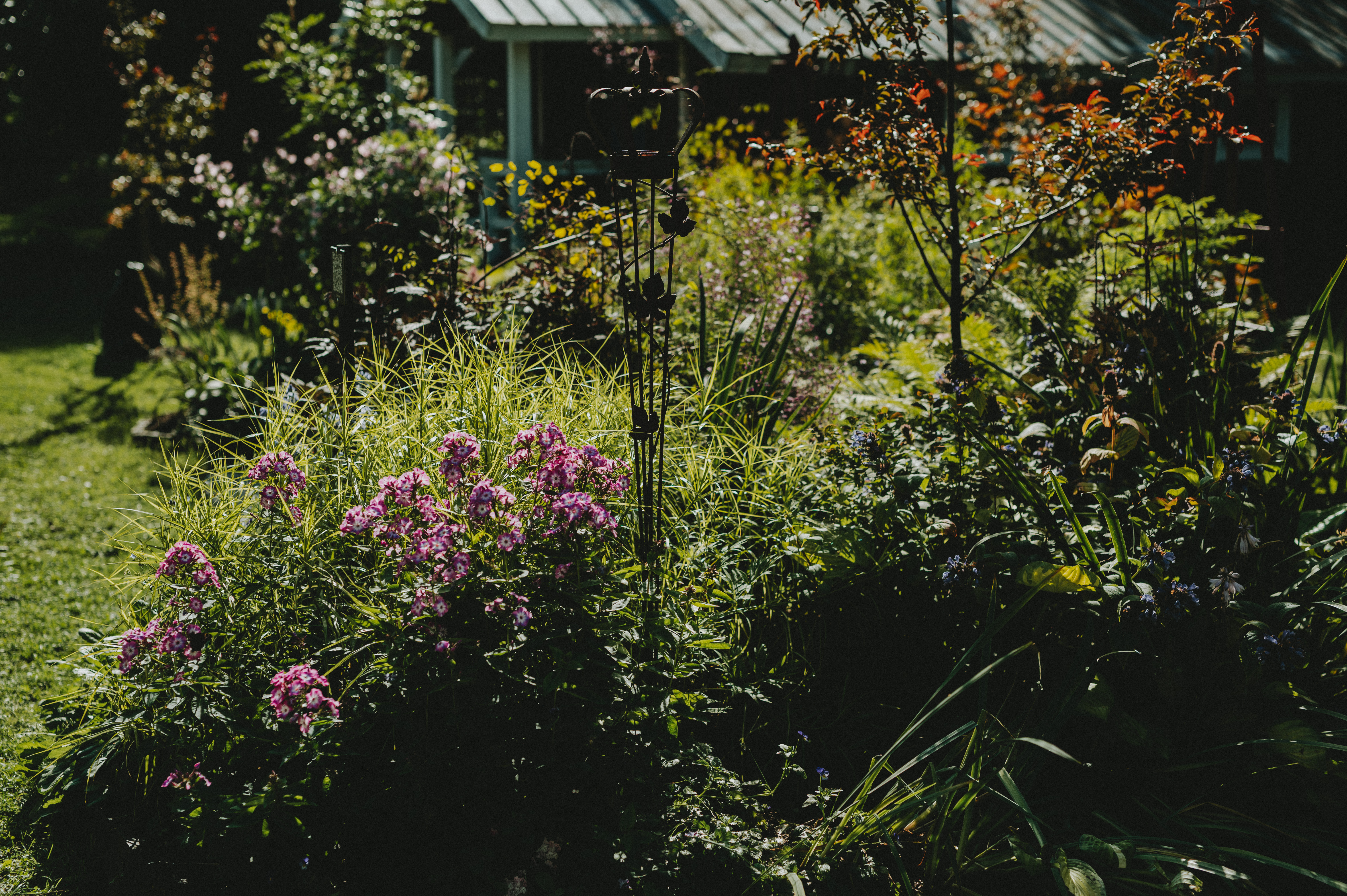 Tr&auml;dg&aring;rd, odling & natur 2