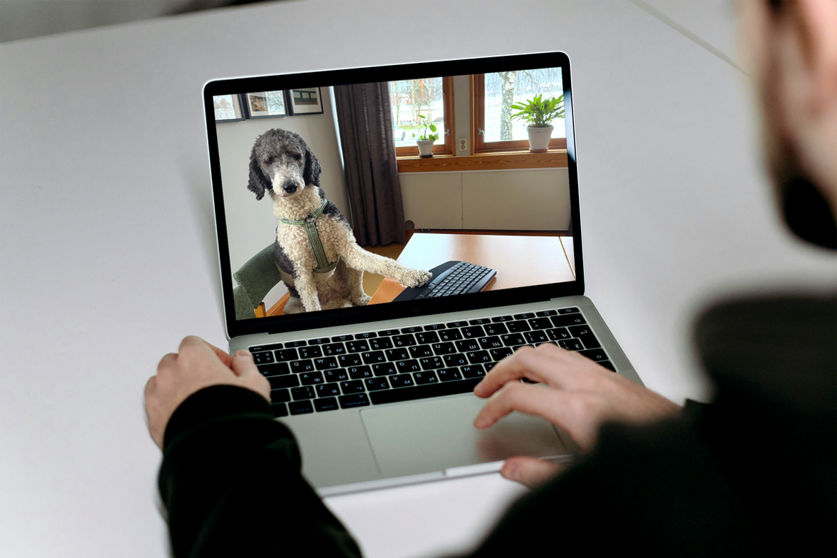 En hud på en datorskärm.