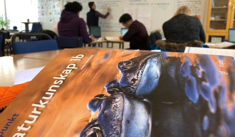 Deltagare på folkhögskola