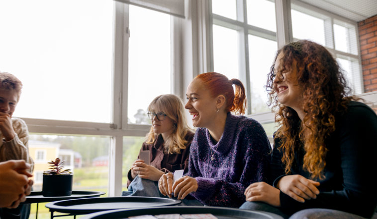 Mellansels Folkhögskola